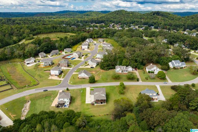 120 MACDONALD LAKE ROAD, Springville, AL 35146