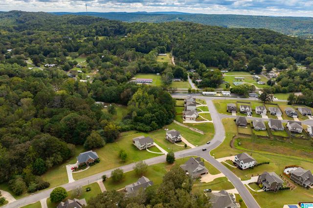 120 MACDONALD LAKE ROAD, Springville, AL 35146