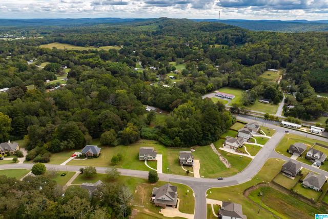 120 MACDONALD LAKE ROAD, Springville, AL 35146