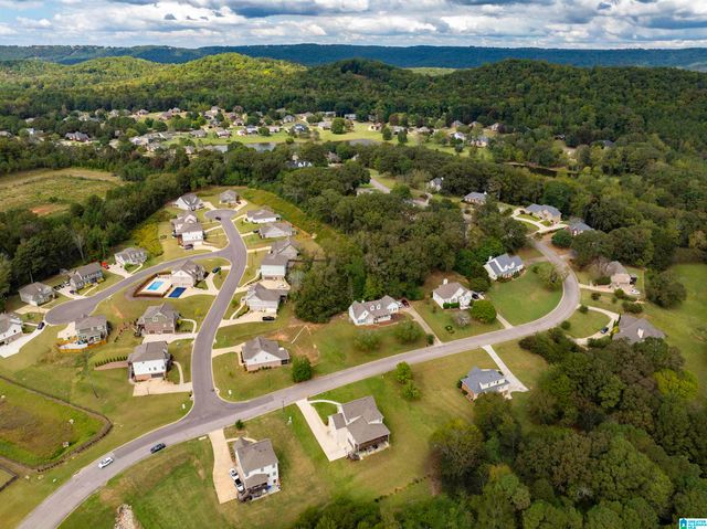 120 MACDONALD LAKE ROAD, Springville, AL 35146