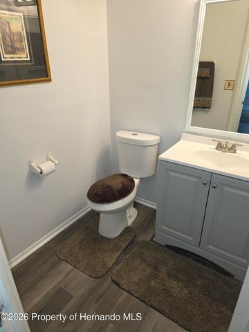 11236 Gifford Drive, Spring Hill, FL 34608