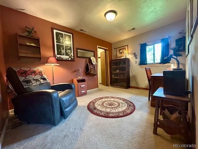 1746 Lump Gulch Road, Black Hawk, CO 80422