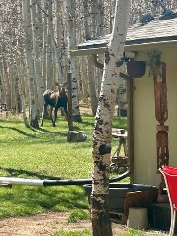 1746 Lump Gulch Road, Black Hawk, CO 80422