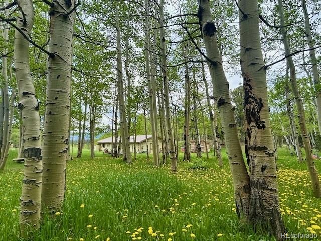 1746 Lump Gulch Road, Black Hawk, CO 80422