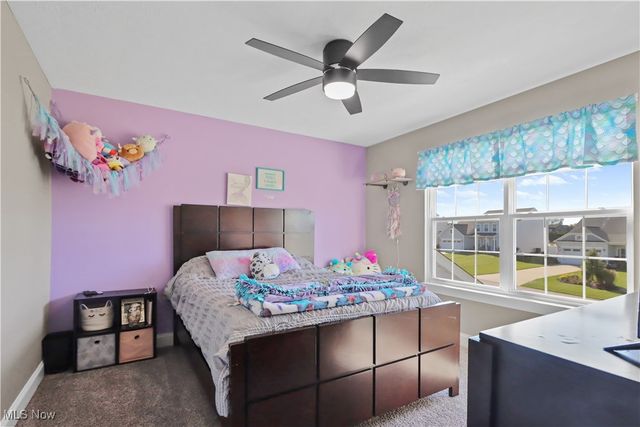 807 Asbury Pointe Lane, Painesville Twp, OH 44077