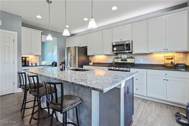 807 Asbury Pointe Lane, Painesville Twp, OH 44077