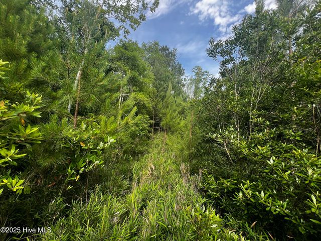 0 White Farm Road, Oriental, NC 28571