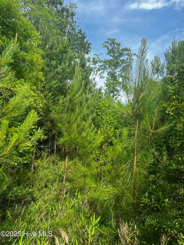 0 White Farm Road, Oriental, NC 28571