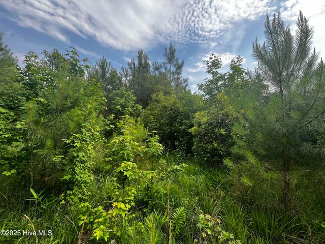 0 White Farm Road, Oriental, NC 28571