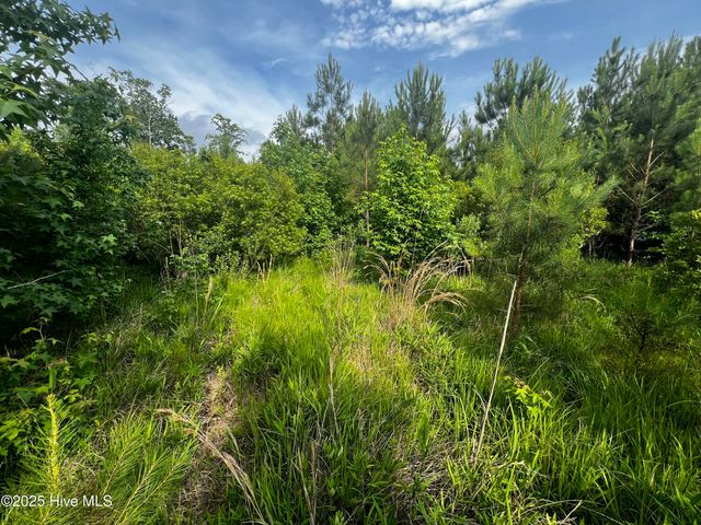 0 White Farm Road, Oriental, NC 28571