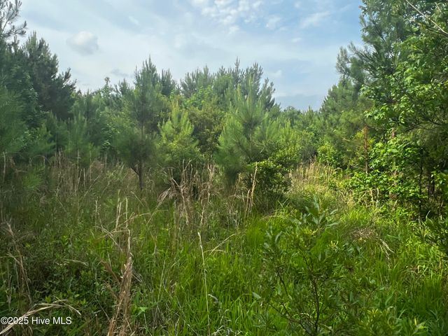 0 White Farm Road, Oriental, NC 28571