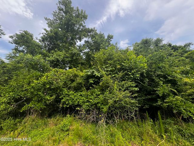 0 White Farm Road, Oriental, NC 28571