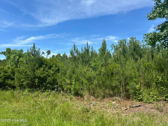 0 White Farm Road, Oriental, NC 28571