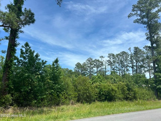 0 White Farm Road, Oriental, NC 28571