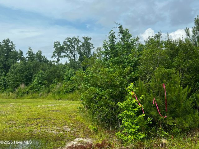 0 White Farm Road, Oriental, NC 28571