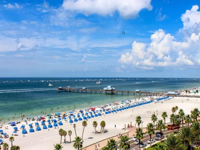 1799 N HIGHLAND AVENUE 22, Clearwater, FL 33755