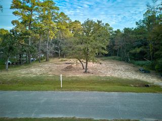 17910 Sea Turtle Court, Magnolia, TX 77355
