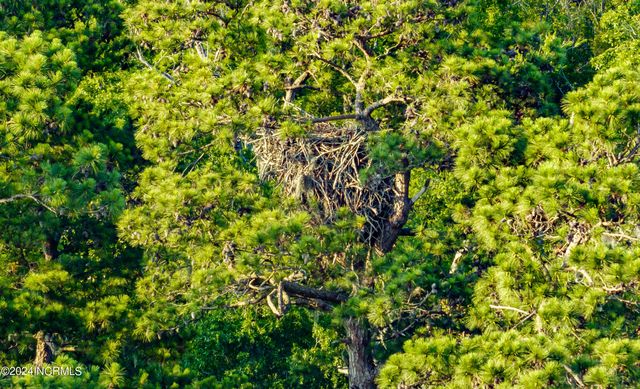 1801 Us Highway 421 N, Wilmington, NC 28401