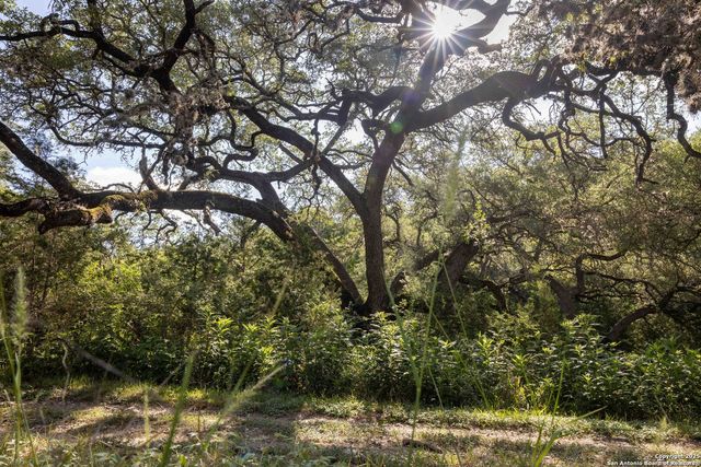 7622 RAMBLE RDG, San Antonio, TX 78266