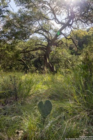 7622 RAMBLE RDG, San Antonio, TX 78266