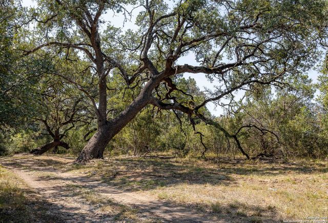 7622 RAMBLE RDG, San Antonio, TX 78266