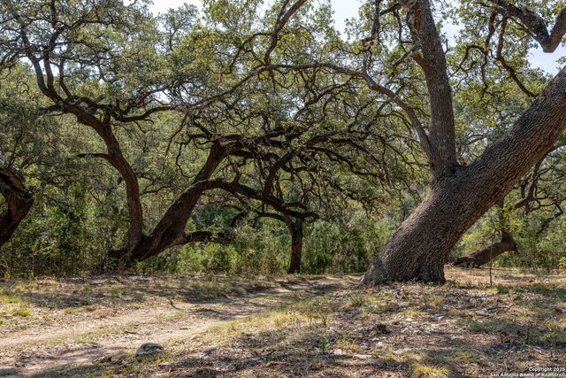 7622 RAMBLE RDG, San Antonio, TX 78266