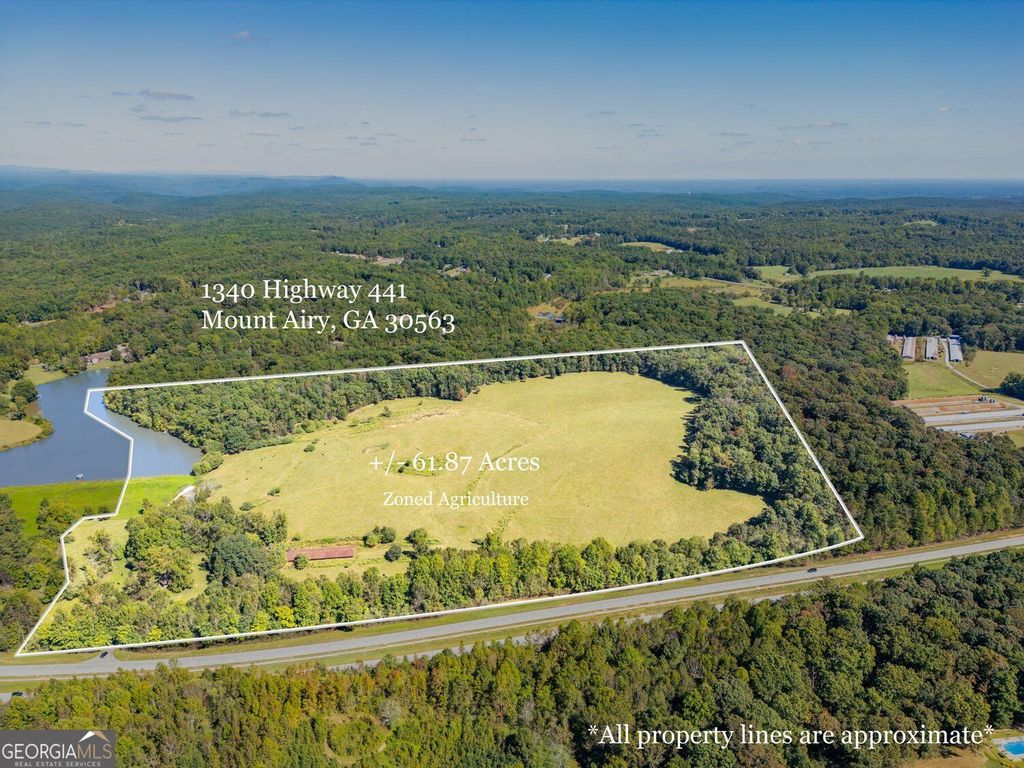 1340 441 Express Way, Mount Airy, GA 30563 — photo 2