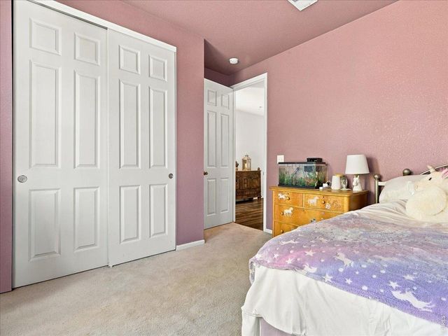 1652 Sorenson Dr, Windsor, CO 80550