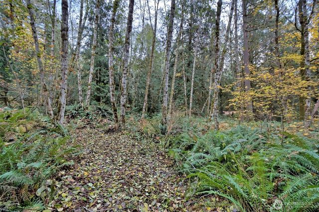 120 SE Sells Drive, Shelton, WA 98584