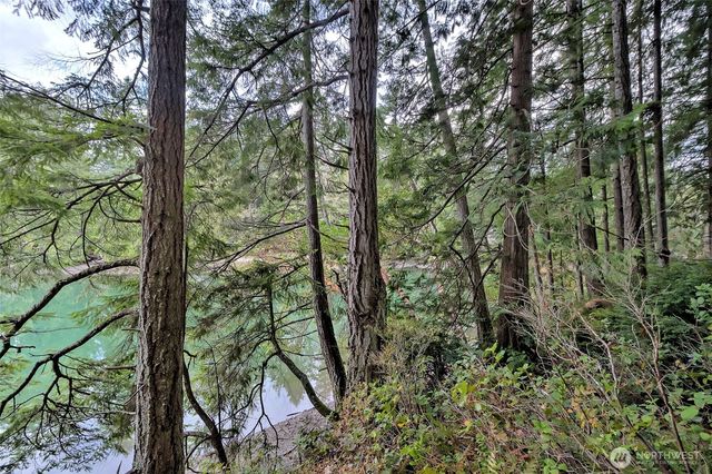 120 SE Sells Drive, Shelton, WA 98584