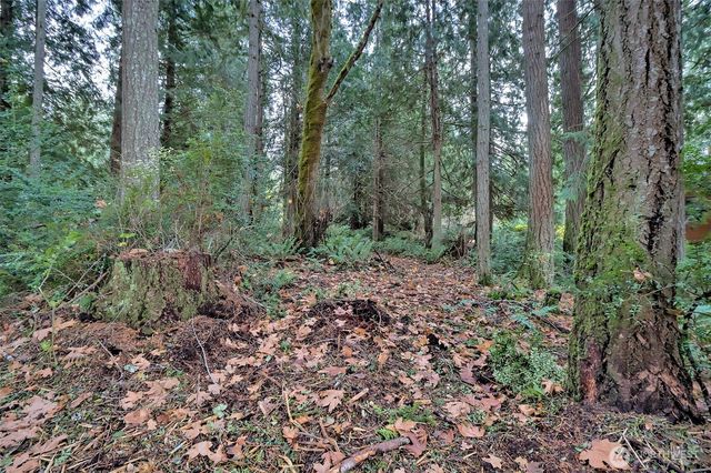 120 SE Sells Drive, Shelton, WA 98584