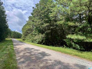 0 COUNTY ROAD 340, Woodland, AL 36280