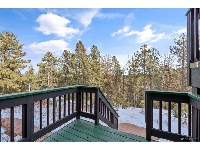 4041 Trout Creek Rd, Woodland Park, CO 80863