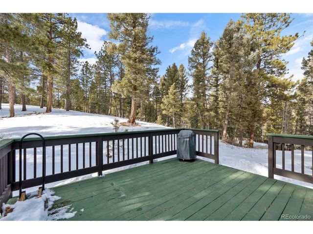4041 Trout Creek Rd, Woodland Park, CO 80863