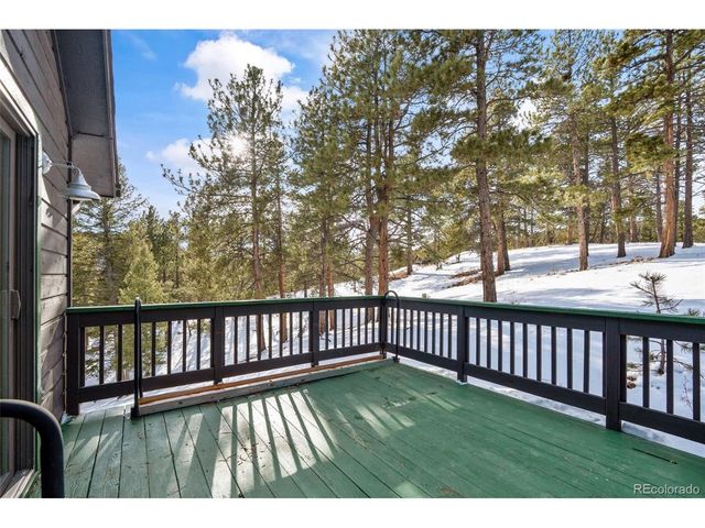4041 Trout Creek Rd, Woodland Park, CO 80863