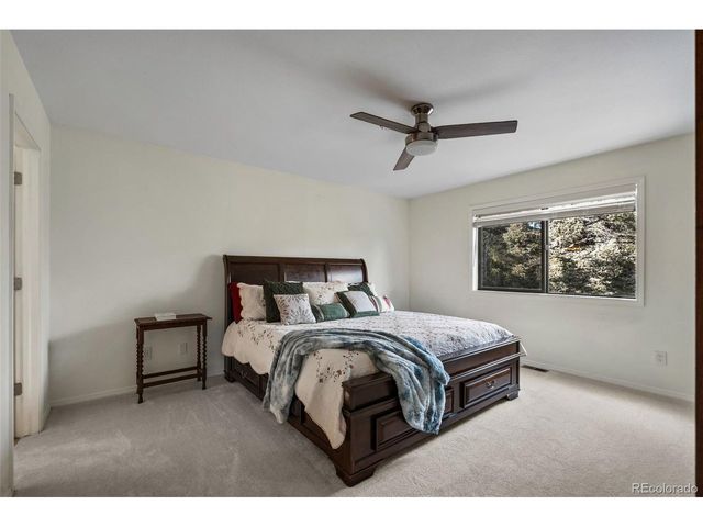 4041 Trout Creek Rd, Woodland Park, CO 80863