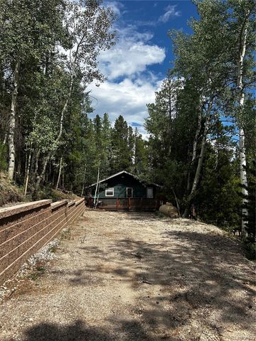 465 Apache Road, Evergreen, CO 80439