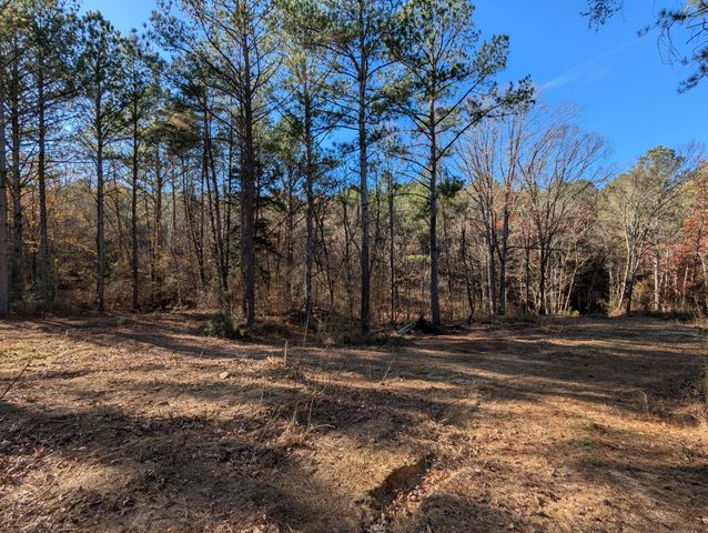 169 Volunteer Lane, Old Fort, TN 37362