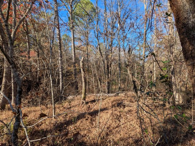 169 Volunteer Lane, Old Fort, TN 37362