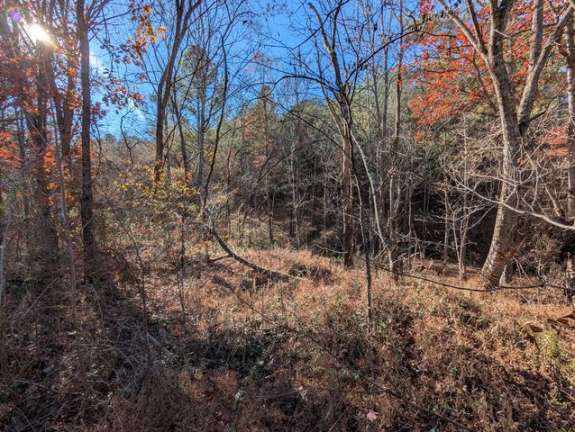 169 Volunteer Lane, Old Fort, TN 37362