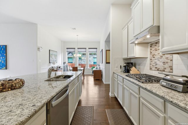 28709 Coral Bark, San Antonio, TX 78260