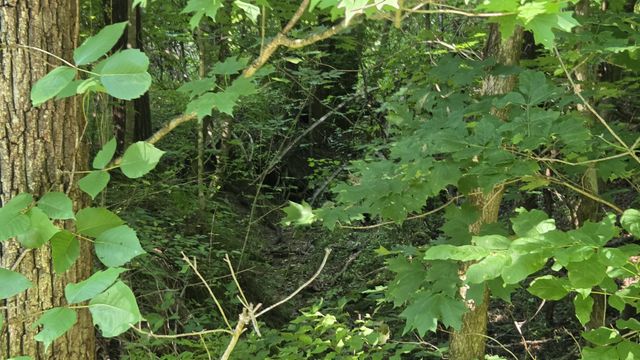 0 Sulphur Creek Rd, Nashville, TN 37218