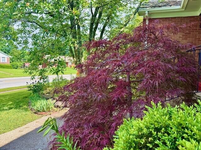 3304 Bellefonte Drive, Lexington, KY 40502