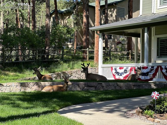 4745 Cheyenne Drive, Larkspur, CO 80118