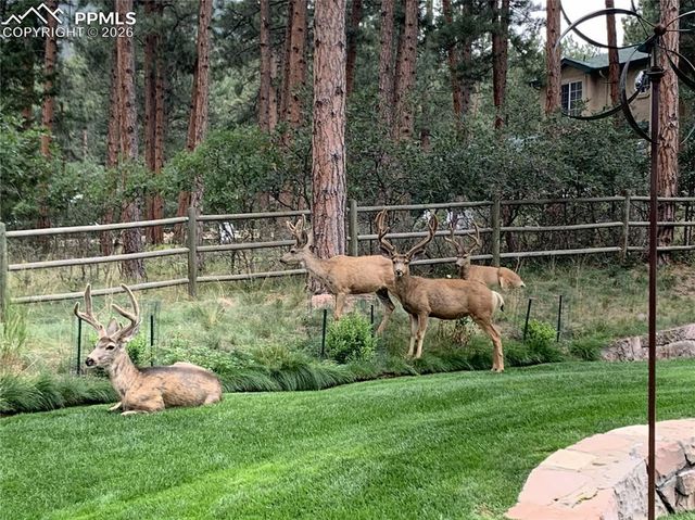 4745 Cheyenne Drive, Larkspur, CO 80118