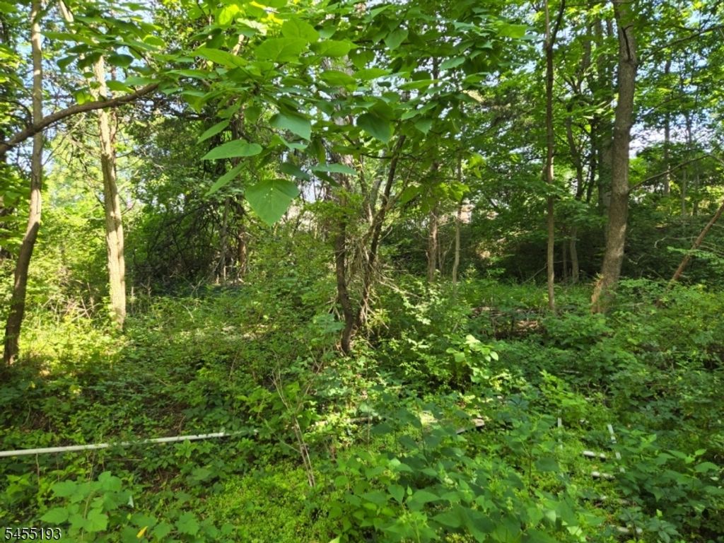2 Hewlett Rd, Montville Twp., NJ 07082 — photo 3