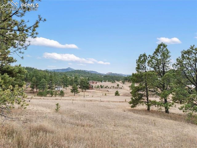 795 S Mountain Estates Road, Florissant, CO 80816