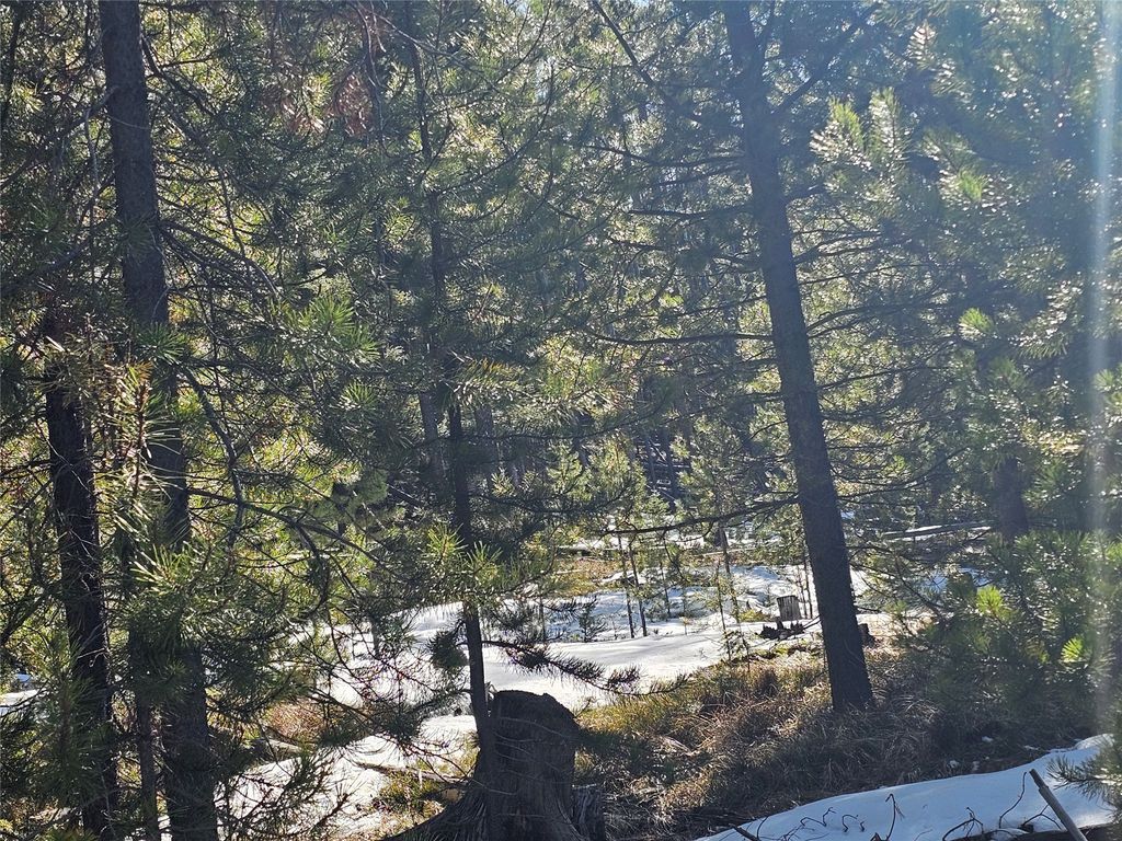 NHN Elk Horn Road, Helmville, MT 59843 photo 10