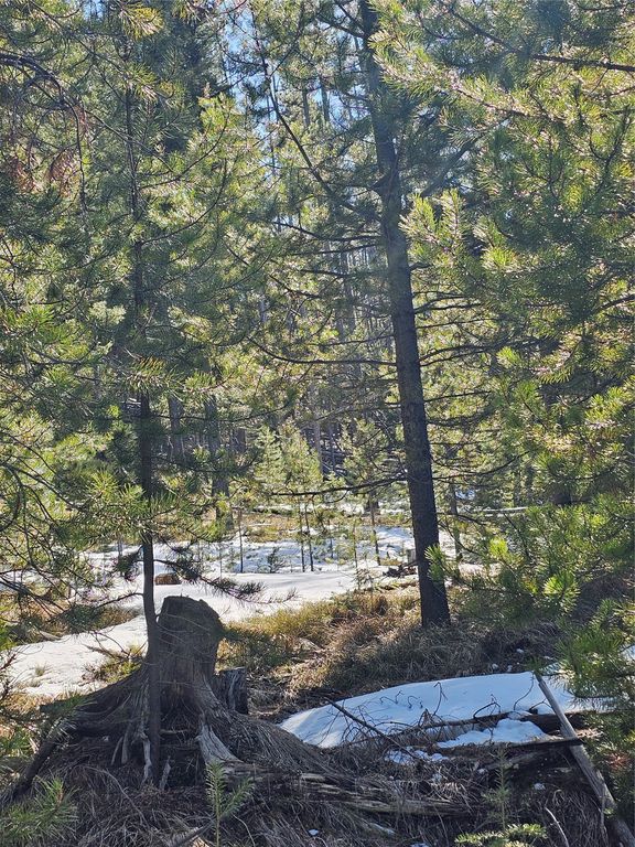 NHN Elk Horn Road, Helmville, MT 59843 photo 11