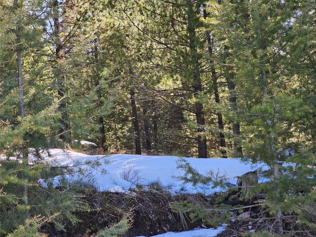 NHN Elk Horn Road, Helmville, MT 59843 photo 12